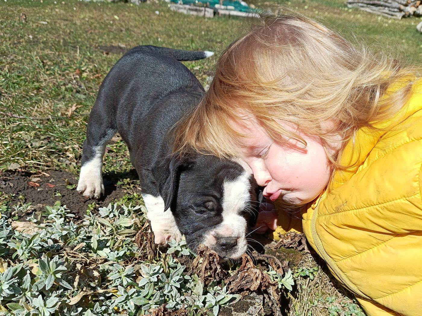 Enfant et chiot dans le jardin de l'élevage La Casa de Chula